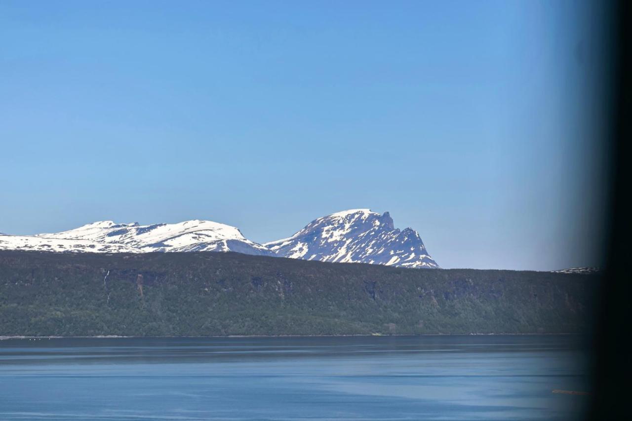 Big Central House, Free Parking, Wifi, 3 Bedrooms Narvik Eksteriør billede