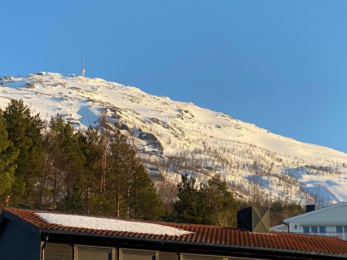 Big Central House, Free Parking, Wifi, 3 Bedrooms Narvik Eksteriør billede